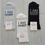 Шкарпетки UK жіночі висока гумка Lomani р.36-40, фото 4