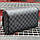 Косметичка Louis Vuitton із канви Damier Graphite, фото 3