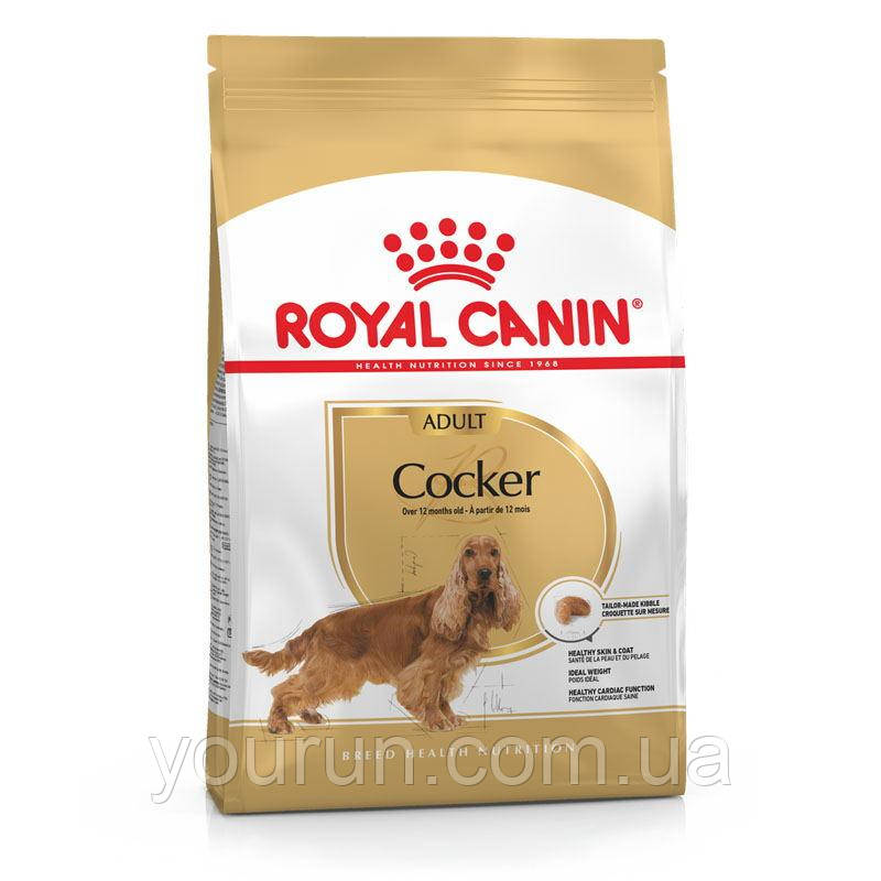 Royal Canin (Роял Канин) Cocker - Сухий корм для кокер спанієлів 3 кг