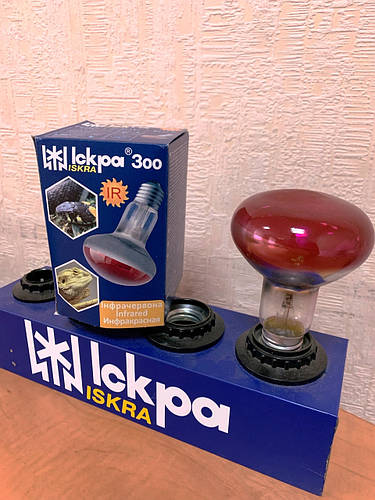 Лампа ИКЗК 100 Ват (инфракрасная зеркальная лампа) Искра Львов,лампочка ...
