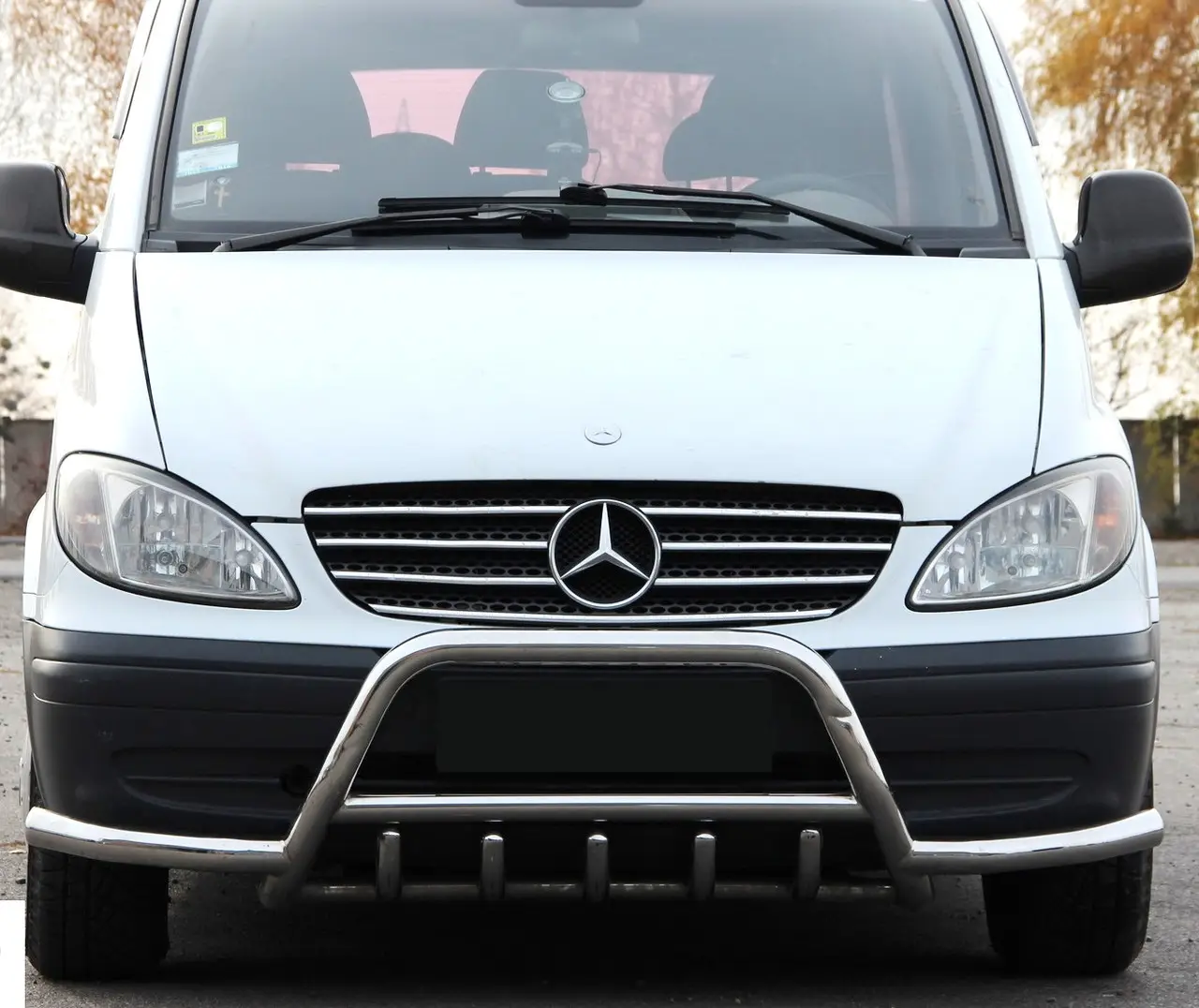 Кенгурятник на Mercedes Vito W639 2004-2015