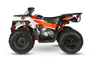 Квадроцикли оптом