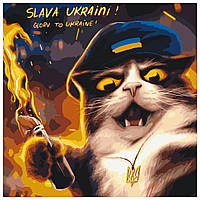 Картина за номерами "Котик повстанець ©Маріанна Пащук" ????