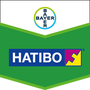 Фунгицид Нативо 75 WG (Nativo 75 WG) Bayer 2кг