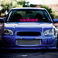 Вінілова наклейка на лобове скло автомобіля - Canibeat