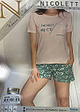 Піжама з шортами. Nicoletta, фото 2