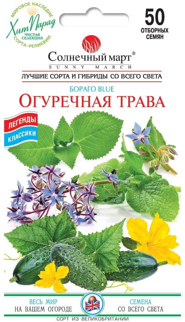 Огіркова трава 50 шт сонячний березень