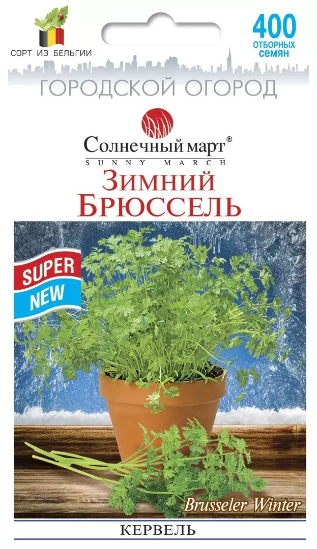 Кервель Зимовий Брюссель 400 шт Сонячний березень