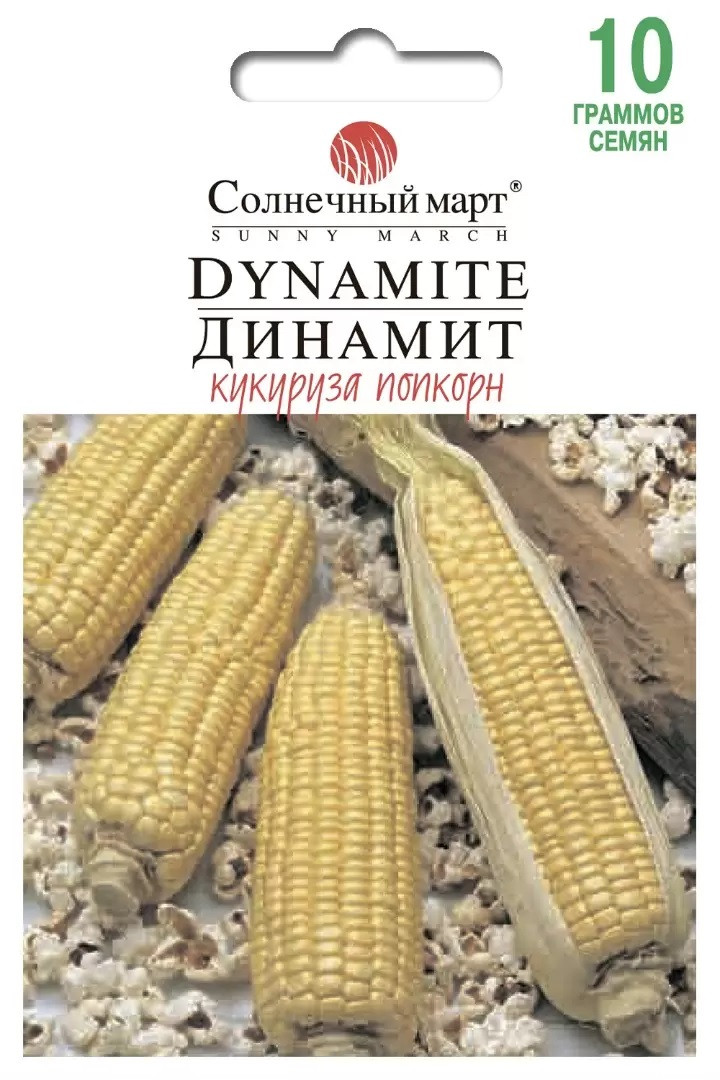 Кукурудза попкорн Динамітт 20 груд Сонячний березень