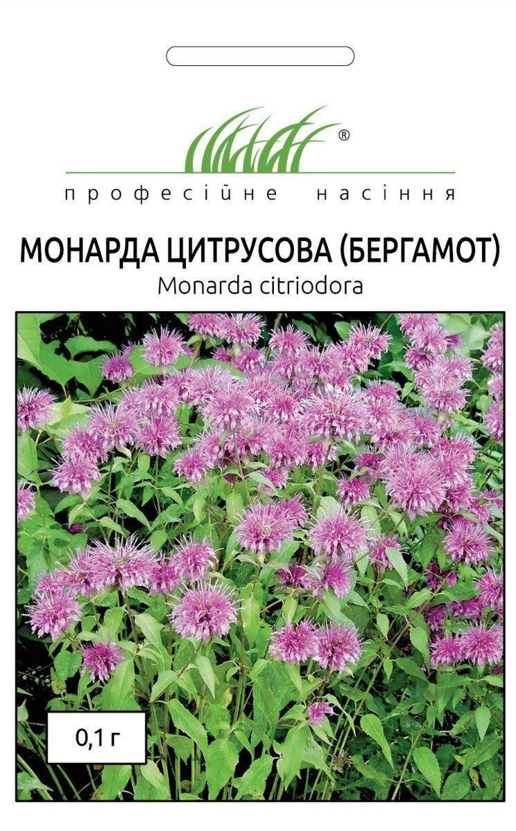 Монанда цитрусова (бергамот) 0,1 гр Професійне насіння Нидерланды