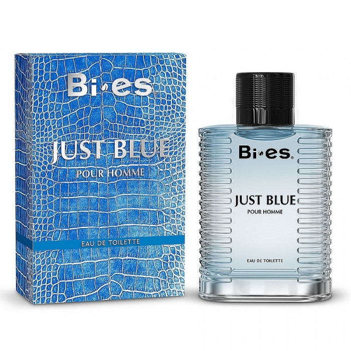 Туалетна вода Bi-es Just Blue Men 100 мл (5902734841902)