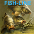 FISH-LINE