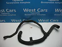 Патрубок охолодження 1.5dCi Renault Kangoo з 2003 по2008