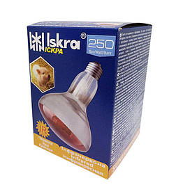 Лампа ІКЗК 250 Вт Е27 в коробочці (Iskra)