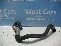 Трубка системи охолодження двигуна 1.8TDCI Ford Focus з 1998 по2005