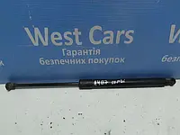 Амортизатор кришки багажника (універсал) Audi A4 з 2004  по2007