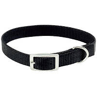 Coastal Nylon Web нашийник для собак, 1х25 см чорний 1х25 см