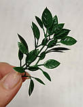 Букет рускус дрібний, темно-зелений (7 гілок), фото 3