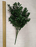 Букет рускус дрібний, темно-зелений (7 гілок), фото 4