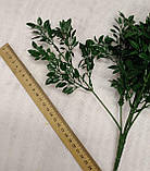 Букет рускус дрібний, темно-зелений (7 гілок), фото 5