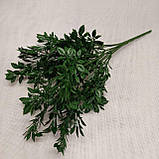 Букет рускус дрібний, темно-зелений (7 гілок), фото 2