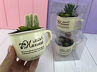Керамическая чашечка с суккулентом "Harvest" кактус