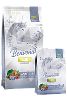 Benvenuti Gatti корм для котів з куркою 3 кг