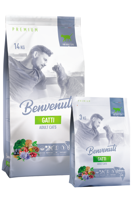 Benvenuti Gatti корм для котів з лососем 3 кг