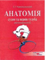 Анатомія судин та нервів тулуба ангіоневрологія. Чорнокульський С.Т.