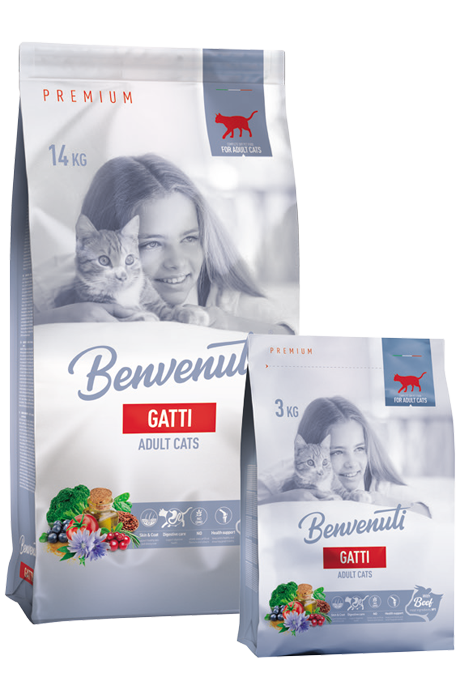 Benvenuti Gatti корм для котів з яловичиною 3 кг