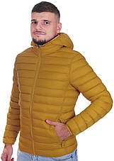Куртка чоловіча демісезонна RLZ 21-9713 гірчична M (48), фото 3