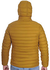 Куртка чоловіча демісезонна RLZ 21-9713 гірчична M (48), фото 4