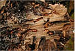 Консервант деревини ConWood Mineral Premium червоний, 5 кг, фото 2