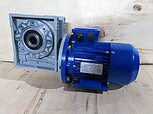 Черв'ячний мотор-редуктор NMRV 040 1:80 з 0,25 квт 220/380в, фото 3