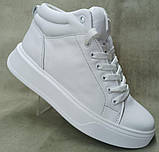 Черевики жіночі зимові шкіряні на товстій підошві від виробника модель РУ23-118, фото 3