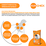 Білково-вітамінно-мінеральна добавка для бройлерів на старті AVA Chick PRO BS 35%, фото 4
