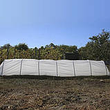 Парник з агроволокна 8 м/60 г/м2 (120 см ширина, 80 см висота), фото 2
