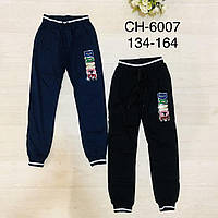 Спортивные штаны для девочек, S&D, 146,152,158,164 см, № CH-6007