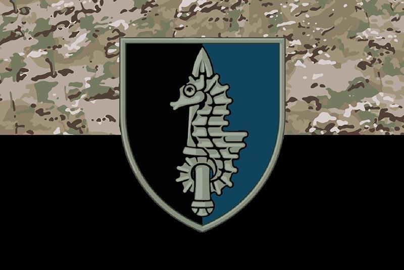 Прапор 73 МЦСпО імені Антіна Головатого ЗСУ камуфляж-чорний