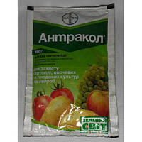 Фунгицид Антракол 100г, Bayer топчик