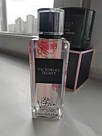 Парфумований Спрей Victoria's Secret XO Victoria Fine Fragrance Mist 250ml, фото 2