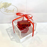 Червоний стабілізований бутон троянди в подарунковій коробці Lerosh — Classic