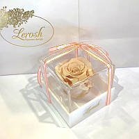 Кремовий стабілізований бутон троянди в подарунковій коробці Lerosh — Classic