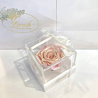 Рожевий перловий стабілізований бутон троянди в подарунковій коробці Lerosh — Classic