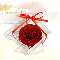 Червоний стабілізований бутон троянди в подарунковій коробці Lerosh — Premium