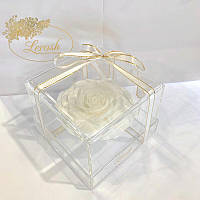 Білий стабілізований бутон троянди в подарунковій коробці Lerosh — Premium