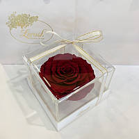 Бордовий стабілізований бутон троянди в подарунковій коробці Lerosh — Premium