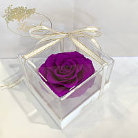 Фіолетовий стабілізований бутон троянди в подарунковій коробці Lerosh — Premium