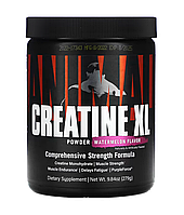 Universal Animal Creatine XL Powder 279 g