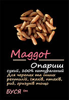 Опарыш сухой "Maggot" тм Буся. Корм для черепах, рептилий, ежей, птиц, грызунов. Пакет 25г